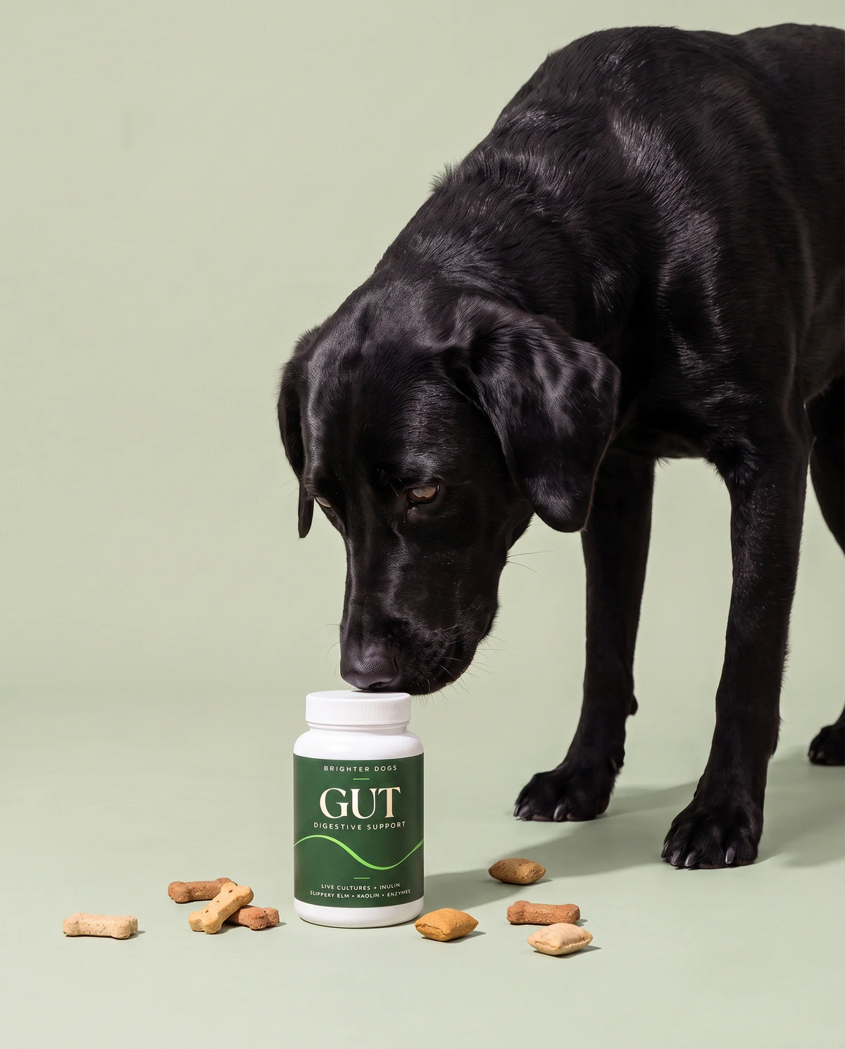 Antibiotics and the gut, three weeks later