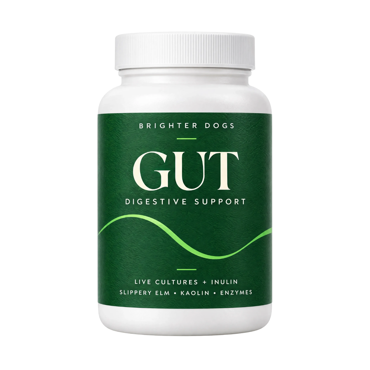 Gut