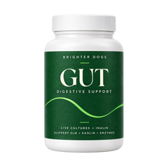 Gut