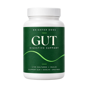 Gut