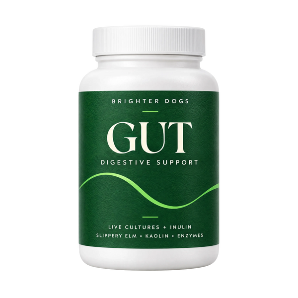 Gut