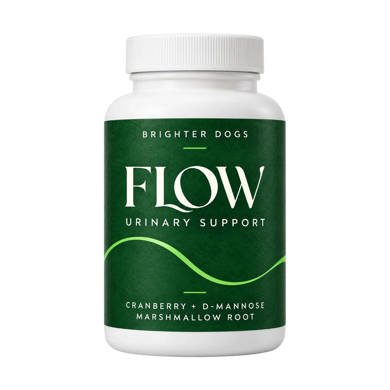 Flow