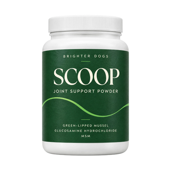Scoop