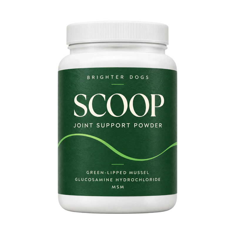Scoop