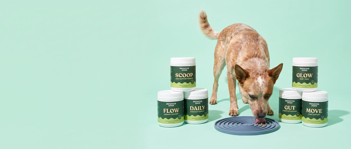 Dog Wellness Lineup