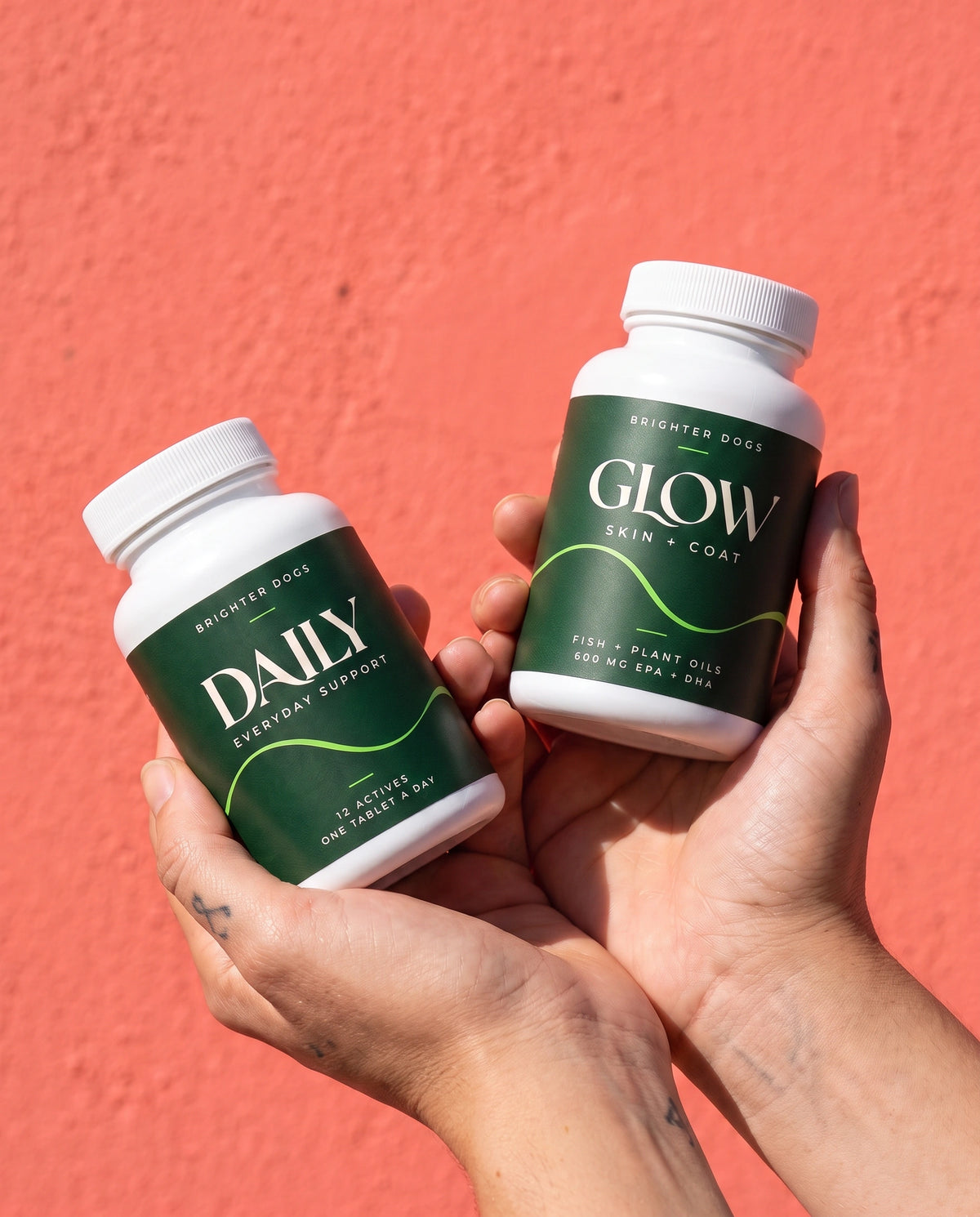 Supplement Duo In Hand