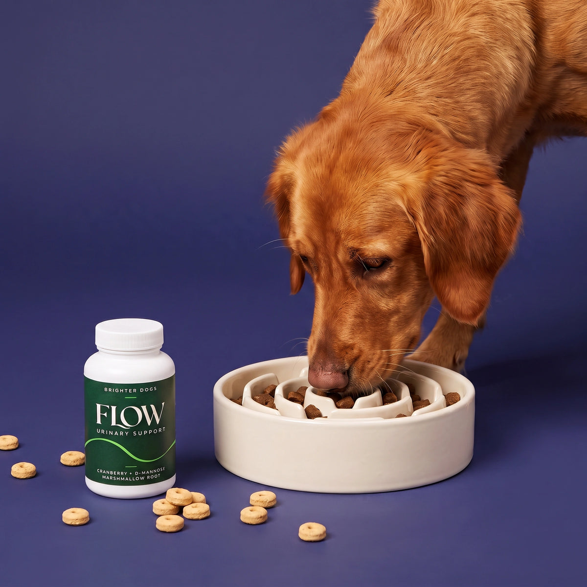 Dog Puzzle Feeder