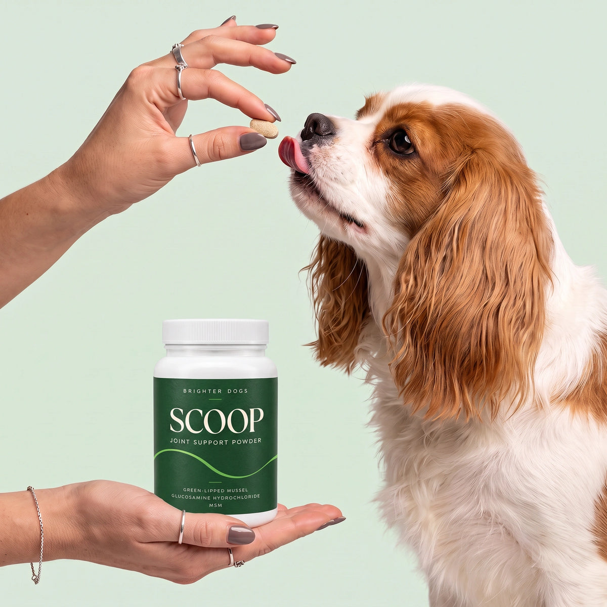 Dog Treat Reach